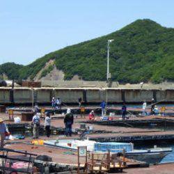 淡路じゃのひれフィッシングパーク 釣果