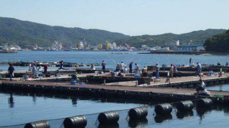 淡路じゃのひれフィッシングパーク 釣果