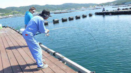 淡路じゃのひれフィッシングパーク 釣果