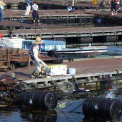 淡路じゃのひれフィッシングパーク 釣果