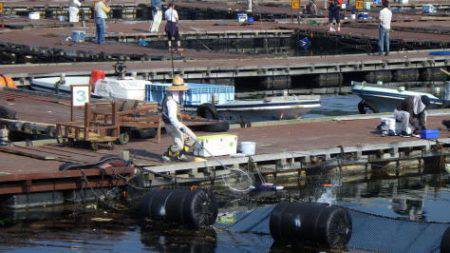 淡路じゃのひれフィッシングパーク 釣果
