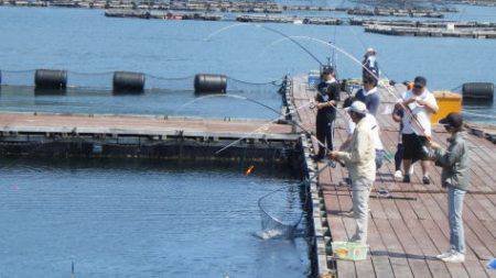 淡路じゃのひれフィッシングパーク 釣果