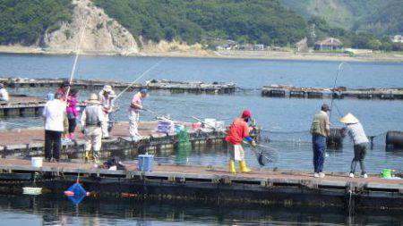 淡路じゃのひれフィッシングパーク 釣果