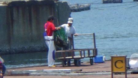 淡路じゃのひれフィッシングパーク 釣果