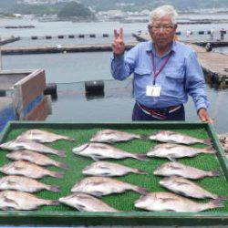 淡路じゃのひれフィッシングパーク 釣果