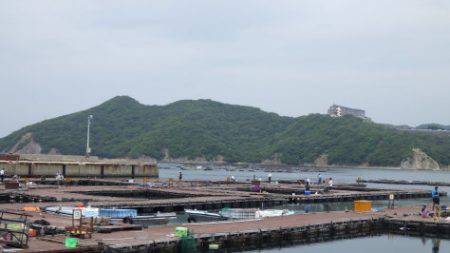 淡路じゃのひれフィッシングパーク 釣果