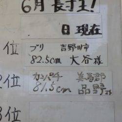 淡路じゃのひれフィッシングパーク 釣果