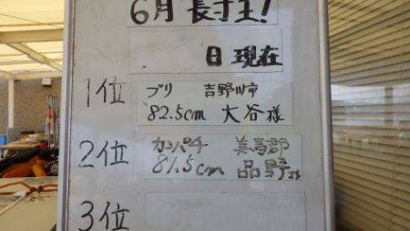 淡路じゃのひれフィッシングパーク 釣果