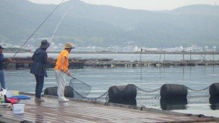 淡路じゃのひれフィッシングパーク 釣果