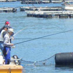 淡路じゃのひれフィッシングパーク 釣果