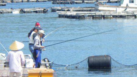 淡路じゃのひれフィッシングパーク 釣果
