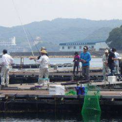 淡路じゃのひれフィッシングパーク 釣果
