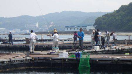淡路じゃのひれフィッシングパーク 釣果