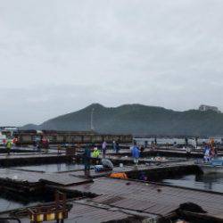 淡路じゃのひれフィッシングパーク 釣果