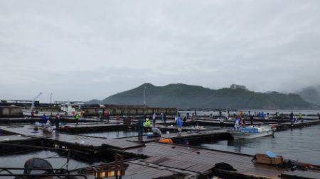 淡路じゃのひれフィッシングパーク 釣果