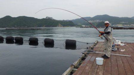 淡路じゃのひれフィッシングパーク 釣果