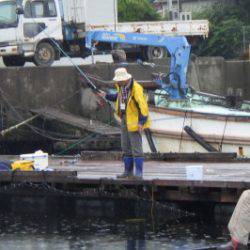淡路じゃのひれフィッシングパーク 釣果