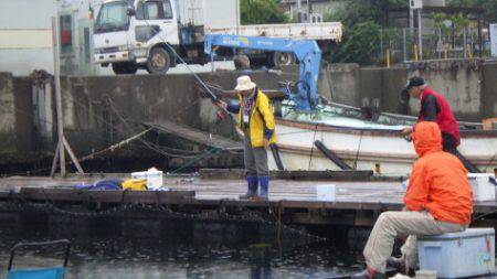 淡路じゃのひれフィッシングパーク 釣果