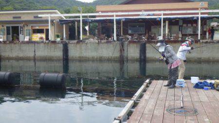 淡路じゃのひれフィッシングパーク 釣果