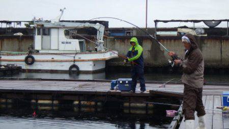 淡路じゃのひれフィッシングパーク 釣果