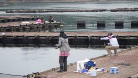 淡路じゃのひれフィッシングパーク 釣果