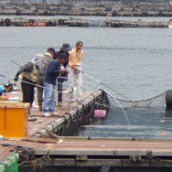 淡路じゃのひれフィッシングパーク 釣果