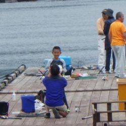 淡路じゃのひれフィッシングパーク 釣果