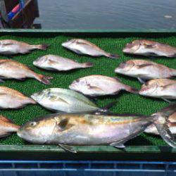 淡路じゃのひれフィッシングパーク 釣果