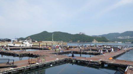 淡路じゃのひれフィッシングパーク 釣果