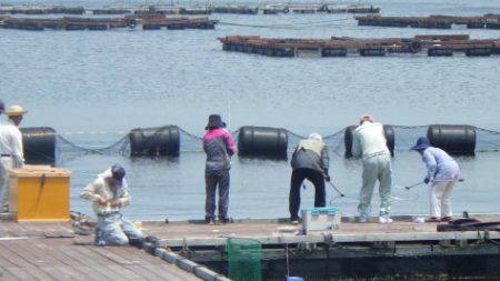 淡路じゃのひれフィッシングパーク 釣果