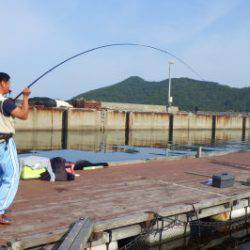 淡路じゃのひれフィッシングパーク 釣果