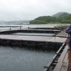 淡路じゃのひれフィッシングパーク 釣果