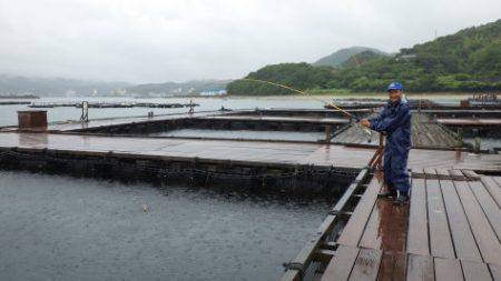 淡路じゃのひれフィッシングパーク 釣果