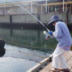 淡路じゃのひれフィッシングパーク 釣果