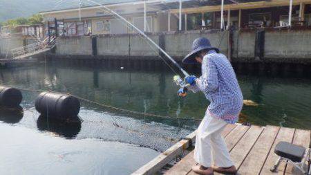 淡路じゃのひれフィッシングパーク 釣果