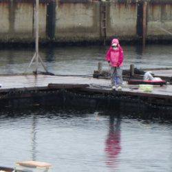 淡路じゃのひれフィッシングパーク 釣果