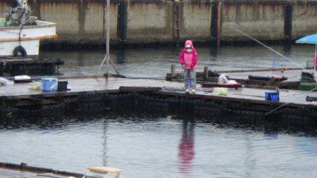 淡路じゃのひれフィッシングパーク 釣果