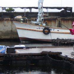 淡路じゃのひれフィッシングパーク 釣果