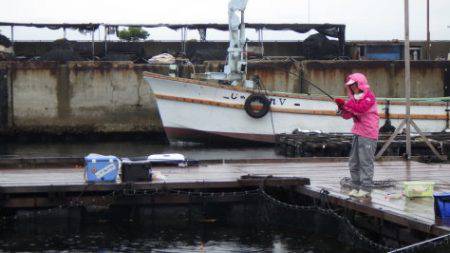 淡路じゃのひれフィッシングパーク 釣果
