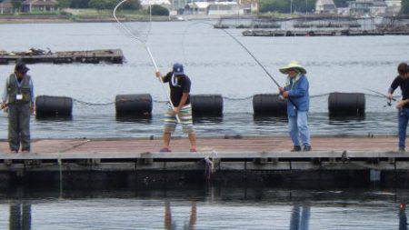 淡路じゃのひれフィッシングパーク 釣果
