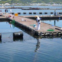 淡路じゃのひれフィッシングパーク 釣果