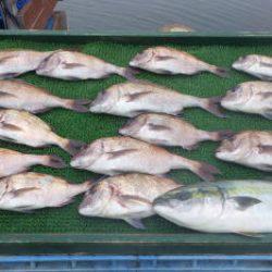 淡路じゃのひれフィッシングパーク 釣果