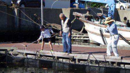 淡路じゃのひれフィッシングパーク 釣果