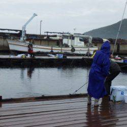 淡路じゃのひれフィッシングパーク 釣果