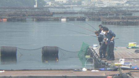 淡路じゃのひれフィッシングパーク 釣果