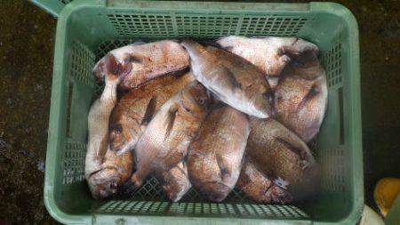 淡路じゃのひれフィッシングパーク 釣果