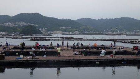 淡路じゃのひれフィッシングパーク 釣果