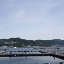 淡路じゃのひれフィッシングパーク 釣果