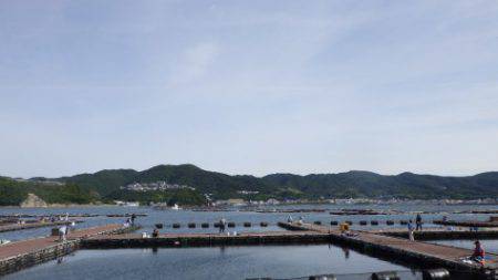 淡路じゃのひれフィッシングパーク 釣果