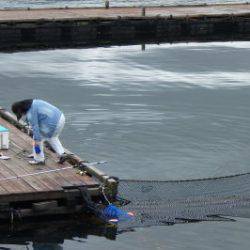 淡路じゃのひれフィッシングパーク 釣果
